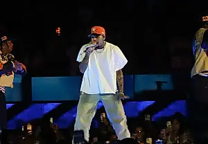 Chris Brown отмечает 20 лет на сцене впечатляющим концертом в Лос-Анджелесе