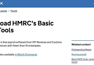 Обзор HMRC Basic PAYE Tools – каким будет ваш микробизнес на британской бухгалтерской кухне