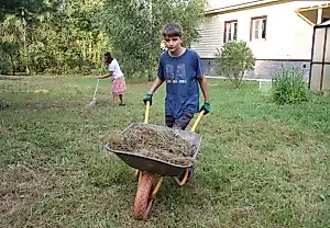 7 важных дел для дачи перед зимой