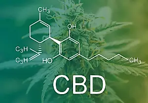 CBD: новая надежда для мозга