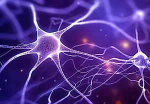 Псилоцибин, MDMA и страх: новый взгляд на иммунитет мозга