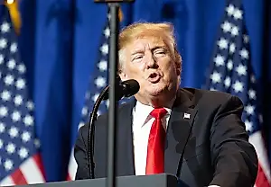 Риторика элит о деле Трампа: почему слова бессильны?