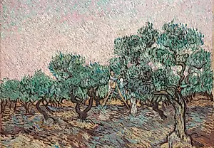 Metropolitan Museum Sued Over Alleged Nazi-Looted Van Gogh