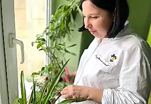 Чили на чилле! Какую рассаду можно вырастить на окне зимой