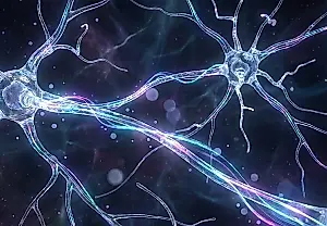 Psilocibina y cerebro: un efecto que dura meses