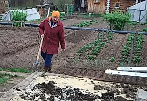 Штрафы для дачников