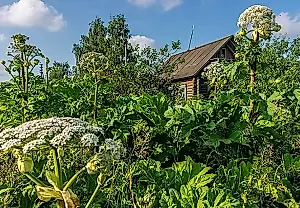 Una primavera llena de multas