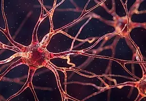 Cuando el cerebro se rinde