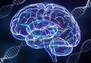 Genes, cerebro y edad: el extraño triángulo de la inteligencia