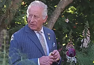 El rey y sus «palabras severas»