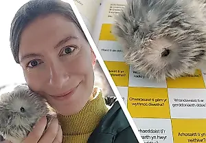 Una semana con Moflin, la mascota robot