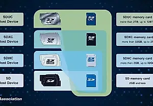 ¿Adónde han ido a parar los terabytes de las SDUC?