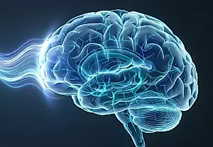 El cerebro bajo corriente: ¿se puede tratar la psicopatía?