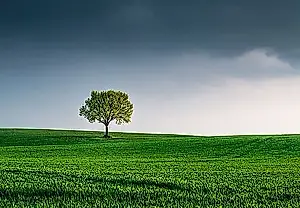 ИИ и экологичность