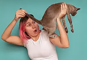 Por qué tiene el gato el trasero rojo