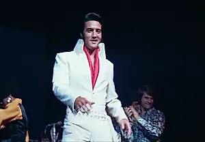 Elvis de la mina de sal