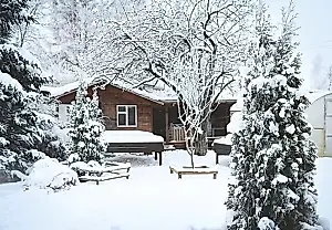 La trampa primaveral de la dacha