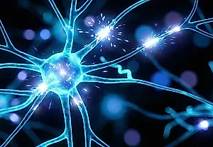 Cómo juega la psilocibina con el cerebro