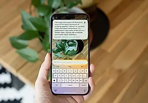 Apple perdió la carrera de la IA: las verdaderas pruebas acaban de empezar