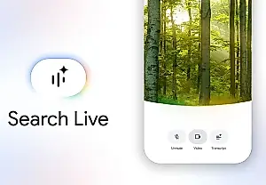 La búsqueda en directo de Google, sin alma de buscador