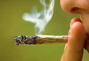 Cómo el cannabis frenó al alcohol
