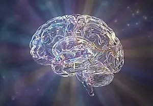 Una señal cerebral para predecir el tratamiento de la depresión