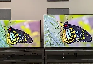Duelo OLED
