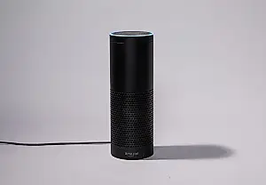 Как Echo научился говорить