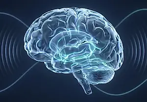 Cerebro, silencio y sonido