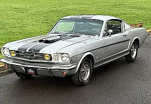 Los caprichos de hierro de la evolución del automóvil