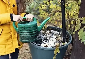 Весенний сад под охраной