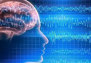 Cómo predice el cerebro la intensidad del «viaje» con psilocibina