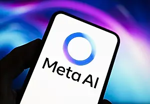 Meta, bajo supervisión