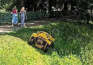 Por qué los propietarios de casas de campo no necesitan cortacéspedes robotizados