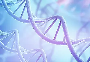 Encuentran genes del autismo en el cableado del cerebro