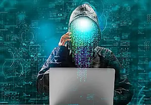 Un agujero en DNN: 750.000 sitios web, en peligro