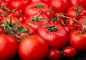 El bancal de máxima seguridad: cómo no cargarse los tomates