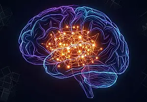 El cerebro de las personas ansiosas queda atrapado en la autoculpabilización: la neurociencia bajo la lupa