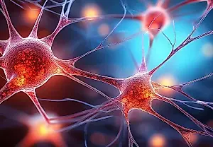 Una inyección de DMT devuelve la vida al cerebro