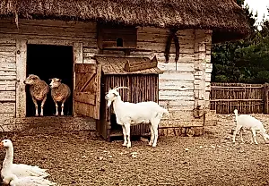 Cabras, ovejas y mitos de las segundas residencias