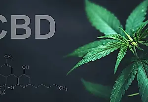 CBD против алкоголизма