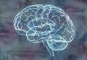 Infancia, cerebro y diagnósticos