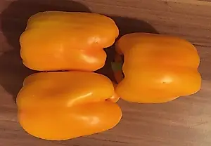 Los pimientos que no se rinden