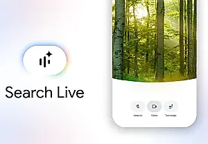 Google делает вид, что всё под контролем