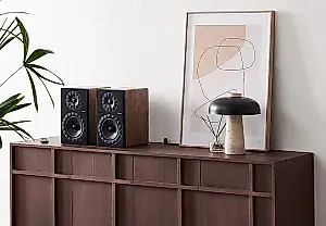 Altavoces estéreo inalámbricos