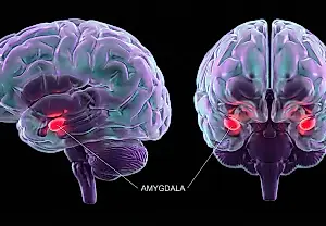 Cuando el cerebro se cansa del móvil
