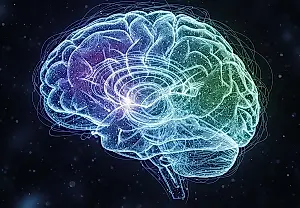Cannabis, depresión y cerebro