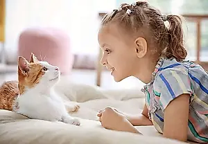 PettiChat: conversaciones con tu gato