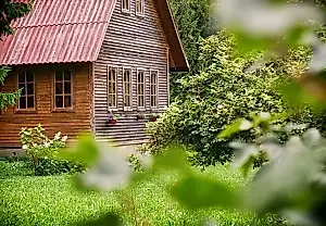 La podredumbre ataca: métodos probados para proteger el jardín de la moniliosis