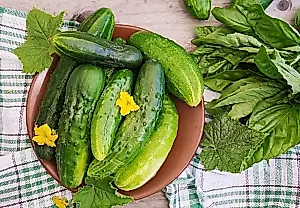 Qué hacer con los pepinos deformes y las flores masculinas: consejos de una agrónoma
